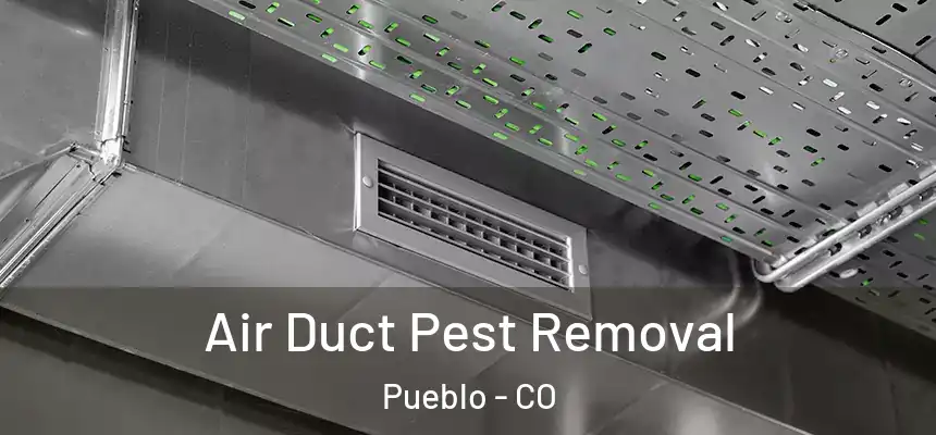  Air Duct Pest Removal Pueblo - CO