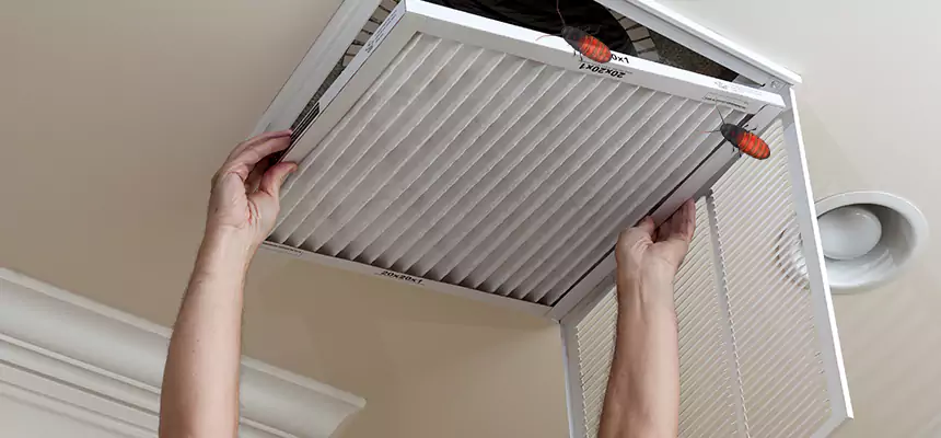Preventive Cockroach-Proofing for Ducts in Pueblo