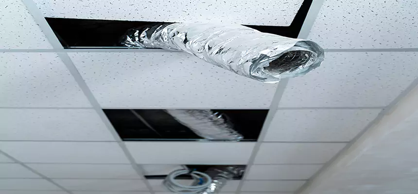 Affordable HVAC Sanitizing After Pest Removal in Pueblo