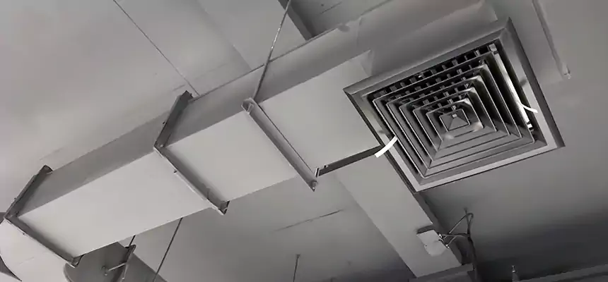 Restorative Allergy Relief Vent Cleaning – Coil, Blower & Housing Detail in Pueblo