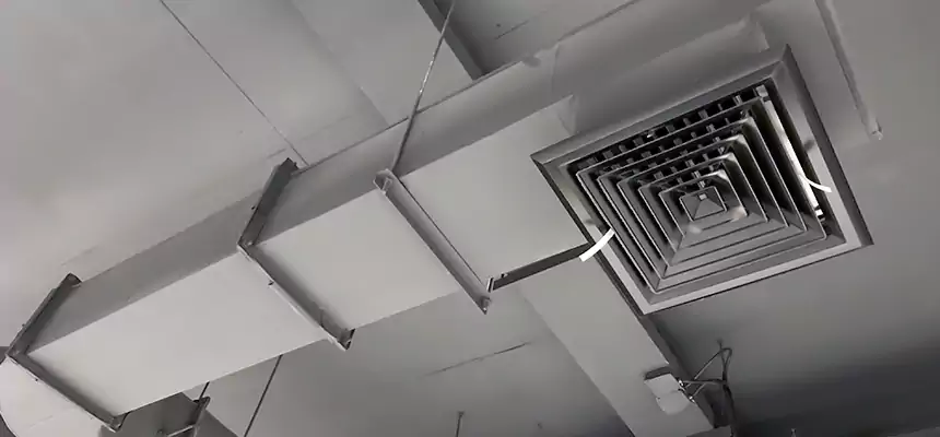 Our Pest Removal From Ducts Services in Pueblo, CO