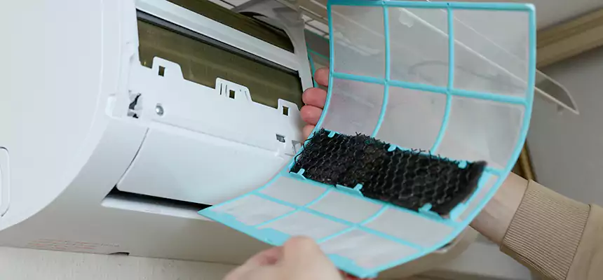 Gentle Ductwork Odor-Control Pet Dander Duct Cleaning in Pueblo, CO