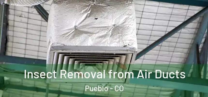  Insect Removal from Air Ducts Pueblo - CO