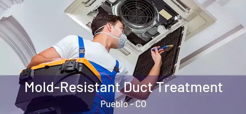  Mold-Resistant Duct Treatment Pueblo - CO