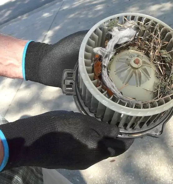 About Air Duct Mice Removal in Pueblo, CO