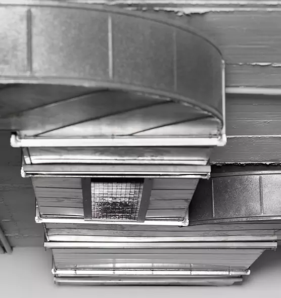 Professional Air Duct Pest Removal in Pueblo, CO