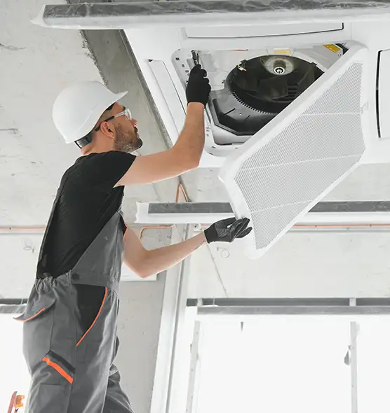 About Air Duct Rodent Removal in Pueblo, CO