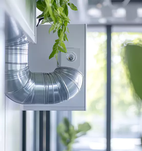 Professional Eco-Safe Dryer Vent Cleaning in Pueblo, CO