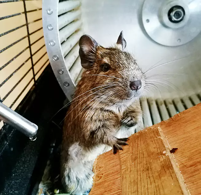 Why Homeowners & Businesses Trust Us Pueblo, CO