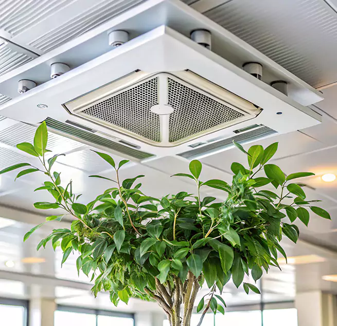 Why Homeowners & Businesses Trust Us in Pueblo, CO?